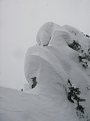 imgp010.jpg